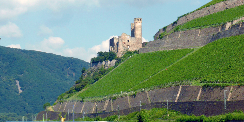 castles of the Rhine