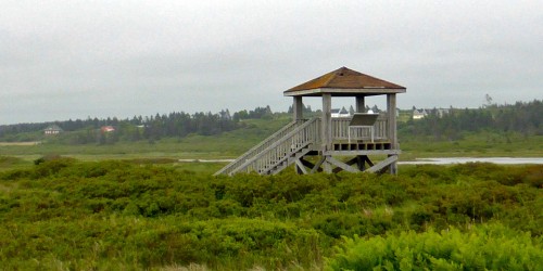 bird viewing platform at the Mavillette Beach Provincial Park, Nova Scotia