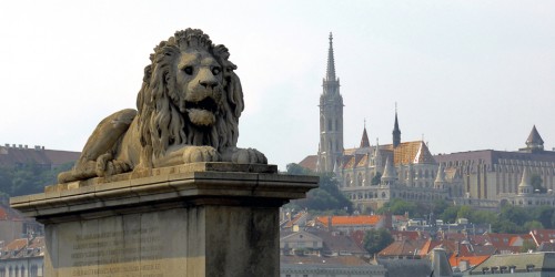 Lion statue, Chain Bridge, Budapest