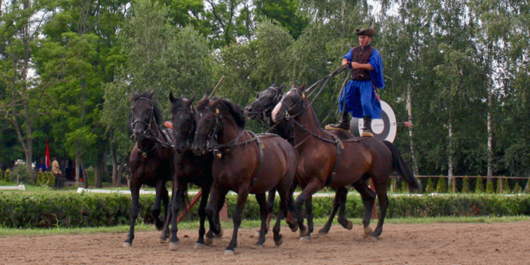 Viking River Cruise _Hungarian Horseman on five horses_Puszta ...