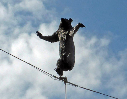 bear on a wire at Bear Pits, Bern, Switzerland